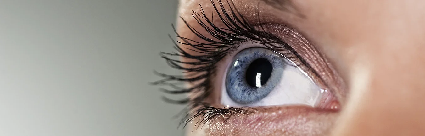 Close-up of a blue eye